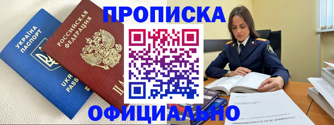прописка поиск в Шлиссельбурге